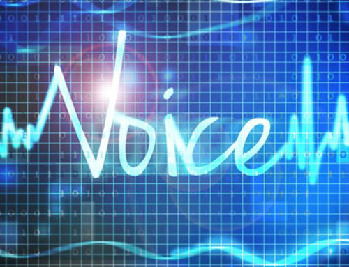 4G LTE voice service solutions